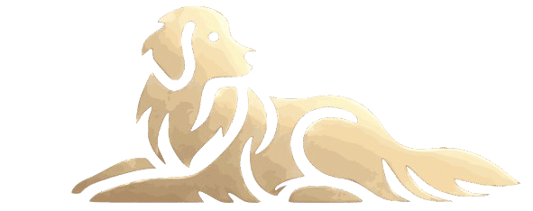 ModernPetDesign 