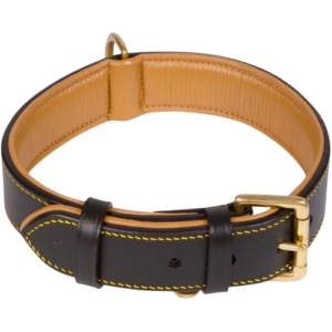 Two-Tone Leather Dog Collar with Brass Buckle