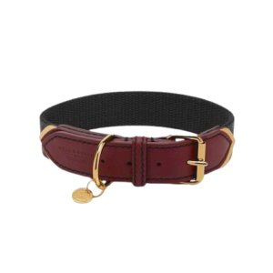 Luxury Leather and Fabric Dog Collar with Gold Accents