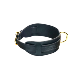 Wide Padded Leather Dog Collar with Gold Hardware