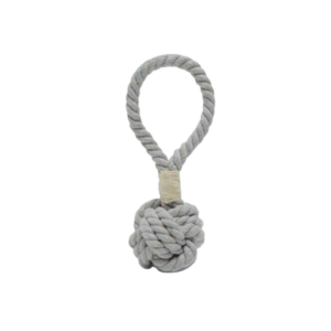 Dog Toys & Play Accessories