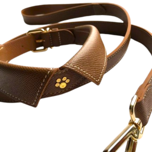 Luxury Leather Dog Collar and Leash Set