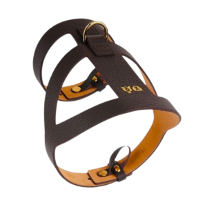 Premium Brown Leather Dog Harness with Gold Hardware