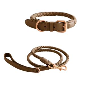 Dog Collars & Leashes