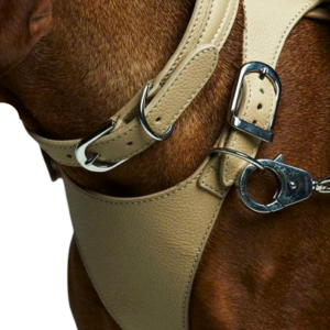 Premium Leather Dog Harness with Secure Fit